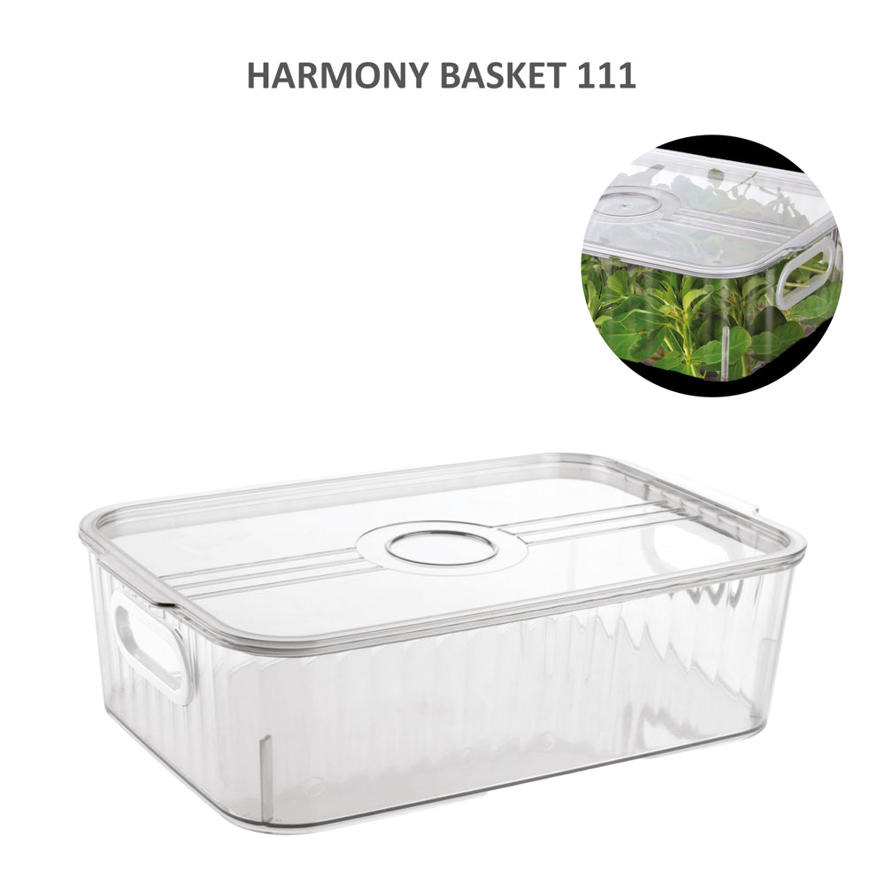 Jaipet Harmony 111 (Small) Basket With Lid - Transparent - 1 U
