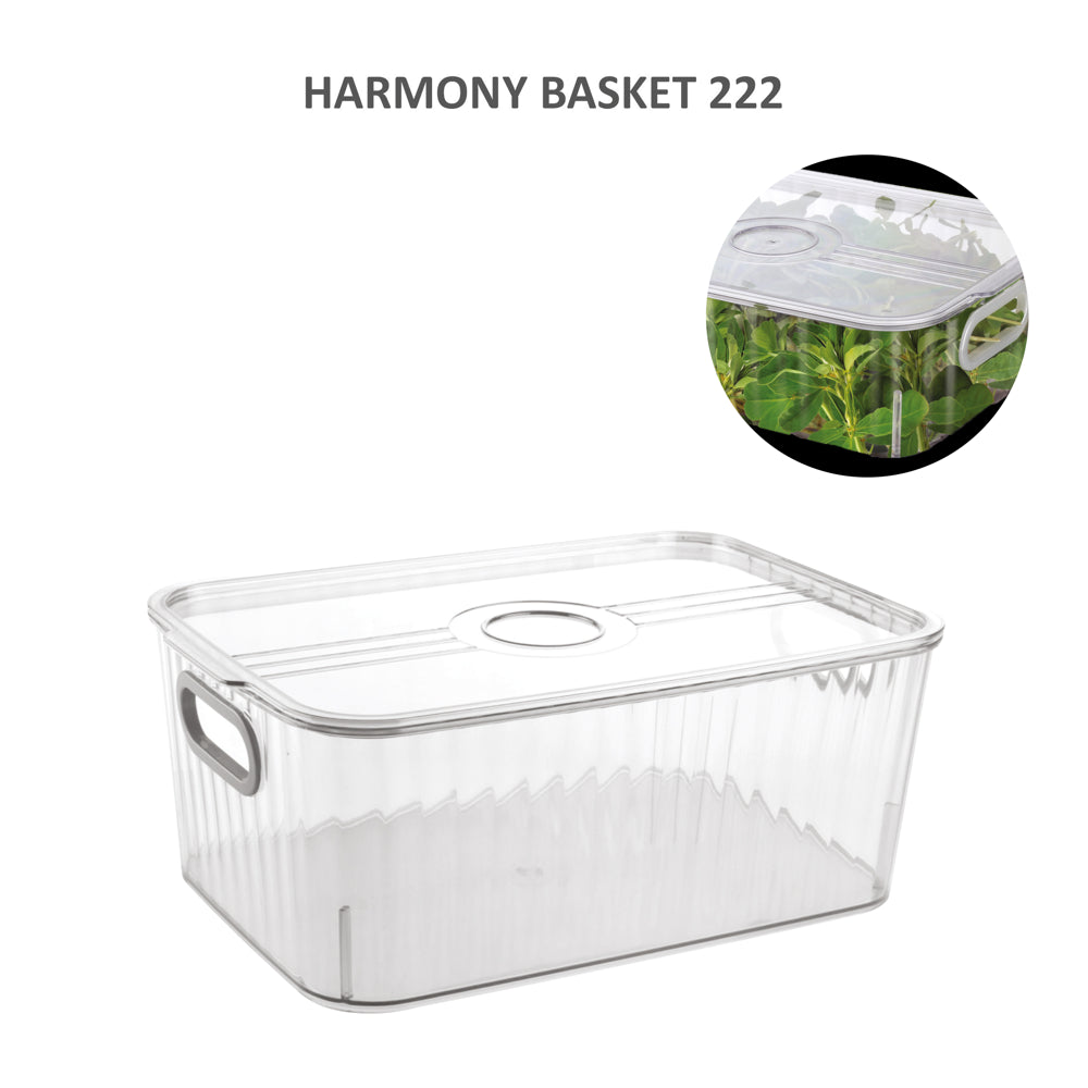 Jaipet Harmony 222 (Medium) Basket With Lid - Transparent - 1 U