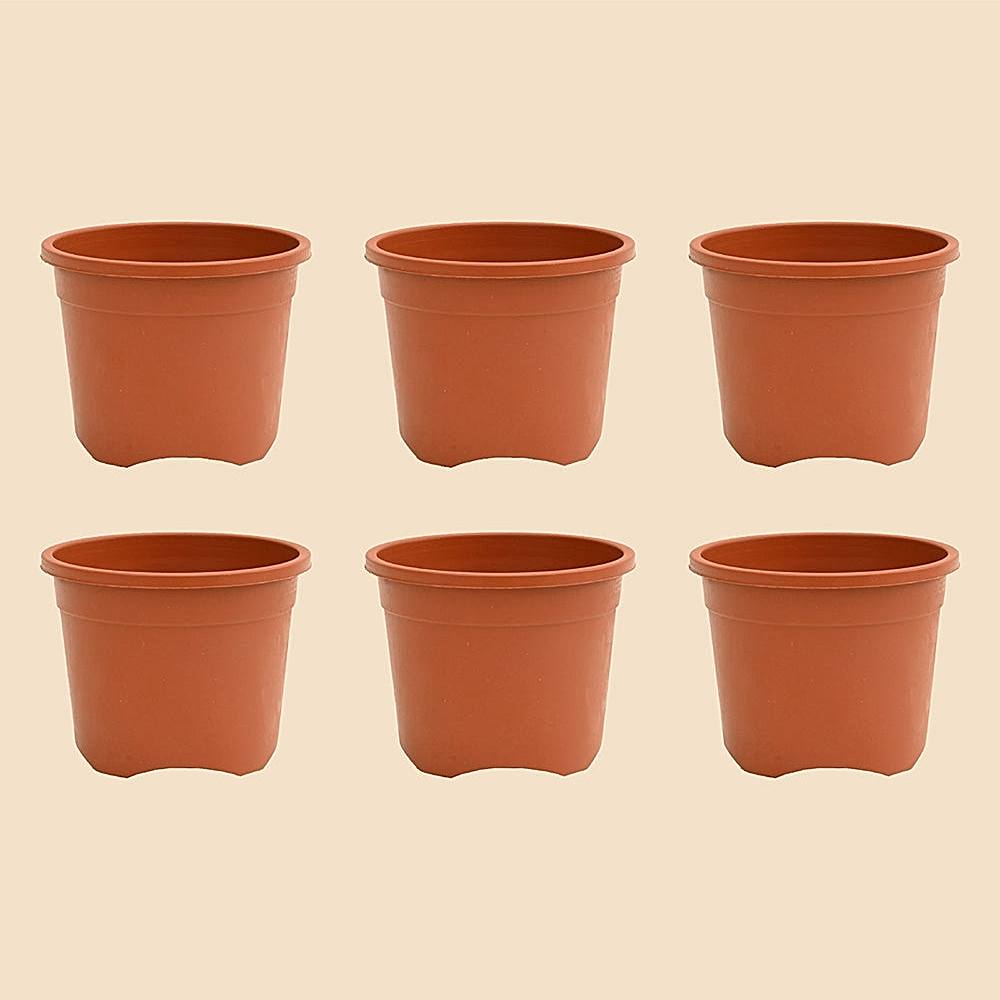 Ugaoo Garden Plastic Planter Pots (Brown) - 6 Pieces - 1 U