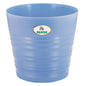 Rajesh Cherry Plastic Planter Pot (02) - Blue - 1 U