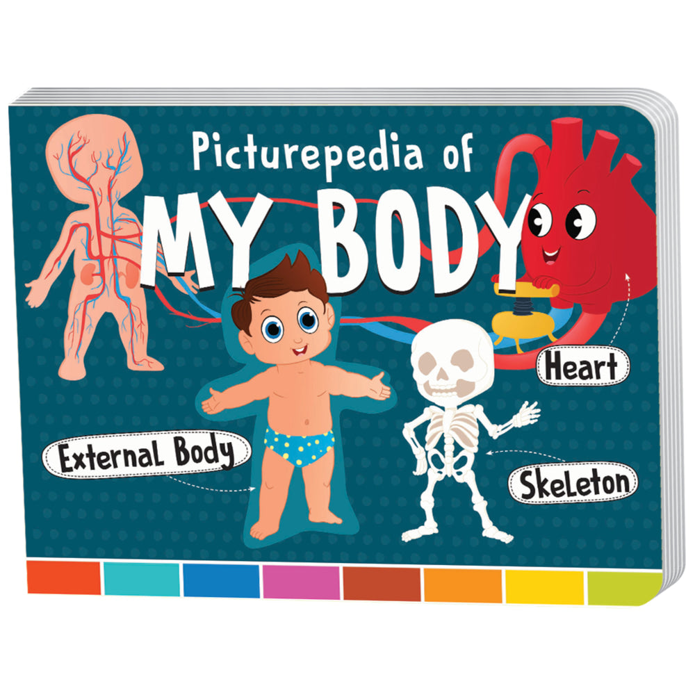 Picturepedia Of My Body For Kids | Majestic | Early Learning Book - 1 Unit